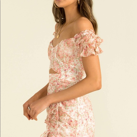BNWT Sundae Muse Marcelle Dress Blush Size XS / AU 6 - Picture 11 of 15